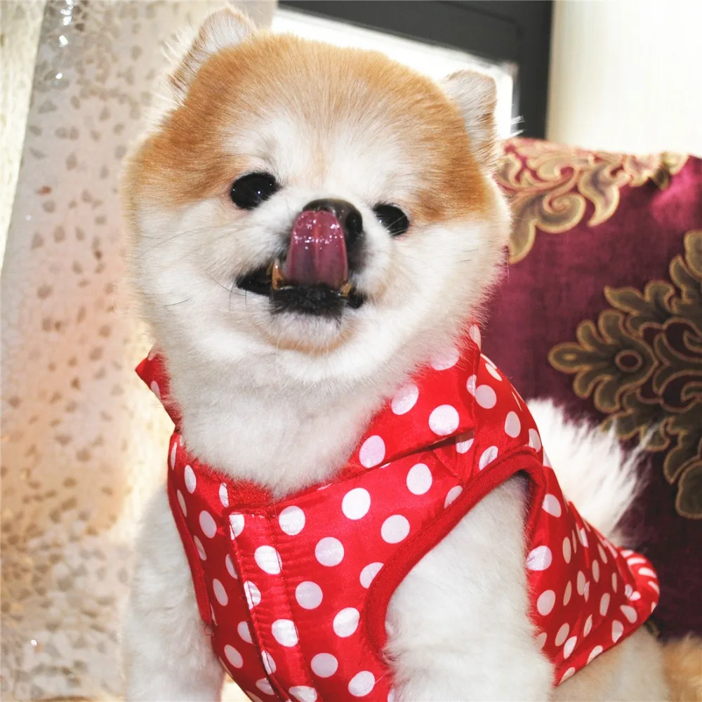 9511382990_361259826