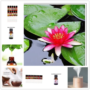 

Sunflower Fragrance Aromatherapy Essential Oils Natural Cold Press Flower Aromatherapy Essential Oil for Diffuser Humidifier