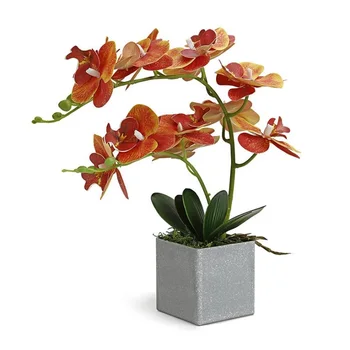 

INDIGO- (1set ) Orchid Arrangment Real With Vase Touch Bonsai Wedding Party Flower Decoration Centerpiece Florist Dropshipping