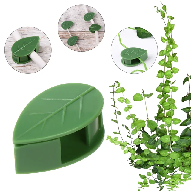 10 Darabos Láthatatlan Konzol Rögzített Csatlevél Klipek Növényi Hegymászó Fali Felszerelés Rattan Szőlő Vontató Tartó Kerti Rögzítőelemek - Image 2