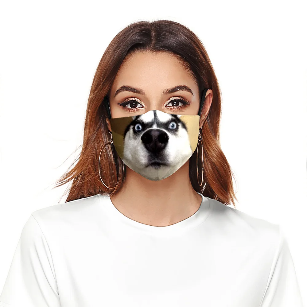 14627349791_1084086270