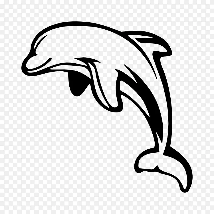 剪贴画开放版白海豚下载 海豚png图片素材免费下载 图片编号 Png素材网