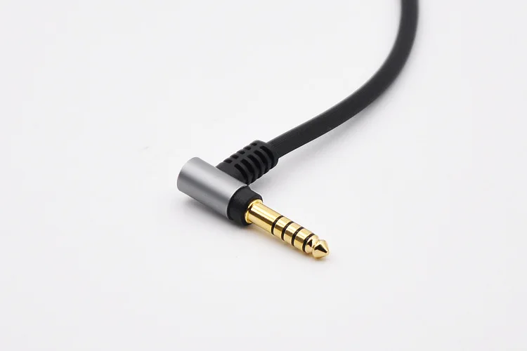 Power Amplifier Board ICE125ASX2 Digital Stereo