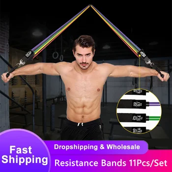 

Resistance Bands Set Exercise Bands with Door Anchor Legs Ankle Straps for Resistance Training Physical Therapy Home Workouts