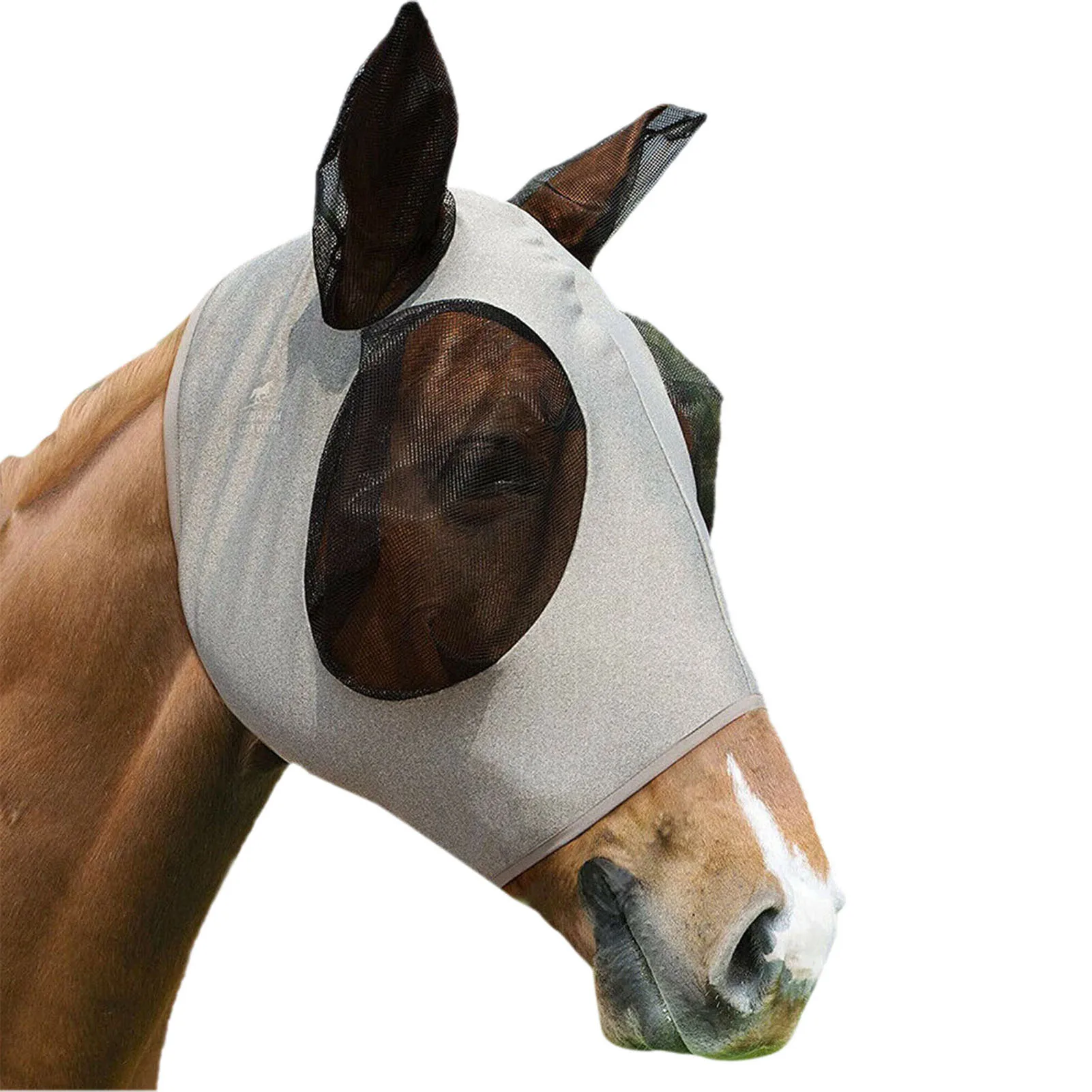 2023 red light horse back therapy cavalo terapia envolve cobertor terapia  infravermelha para cavalos equinos cobertor - AliExpress
