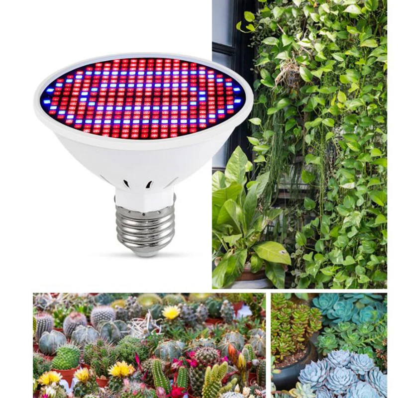 Ampoule LED Croissance Plantes Wandisy 18W - E14/E27/GU10 - 18 LEDs (11Rouge+4Bleu+1Blanc) - Pour Jardinage Intérieur, Semis - 7