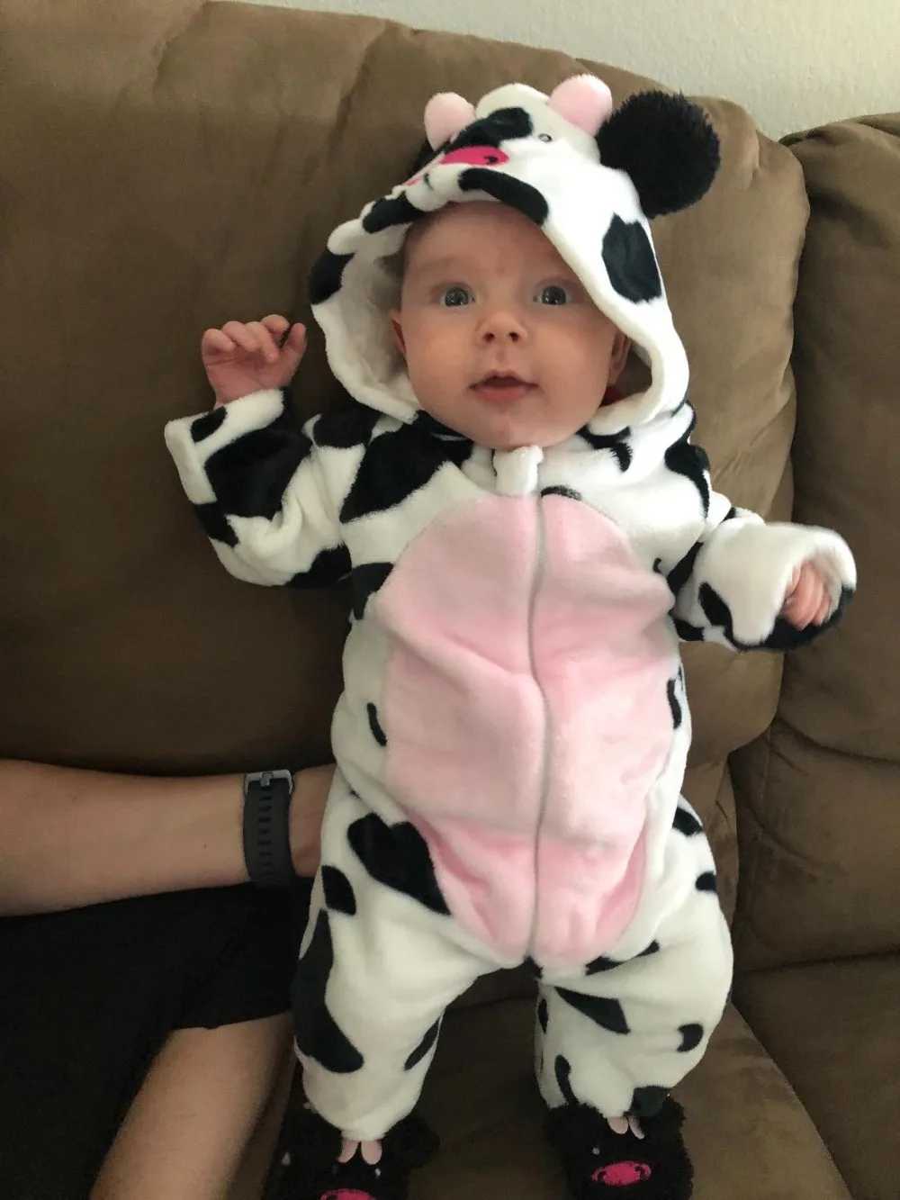 Cow (8)