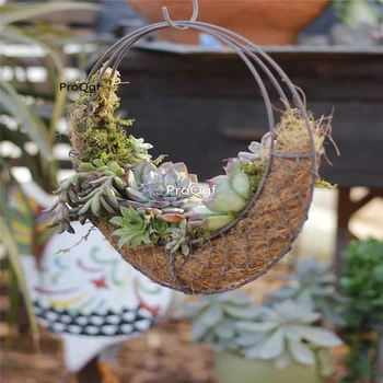 

Ngryise 1Pcs A Set moon shape flower shelf decoration garden no plant inside