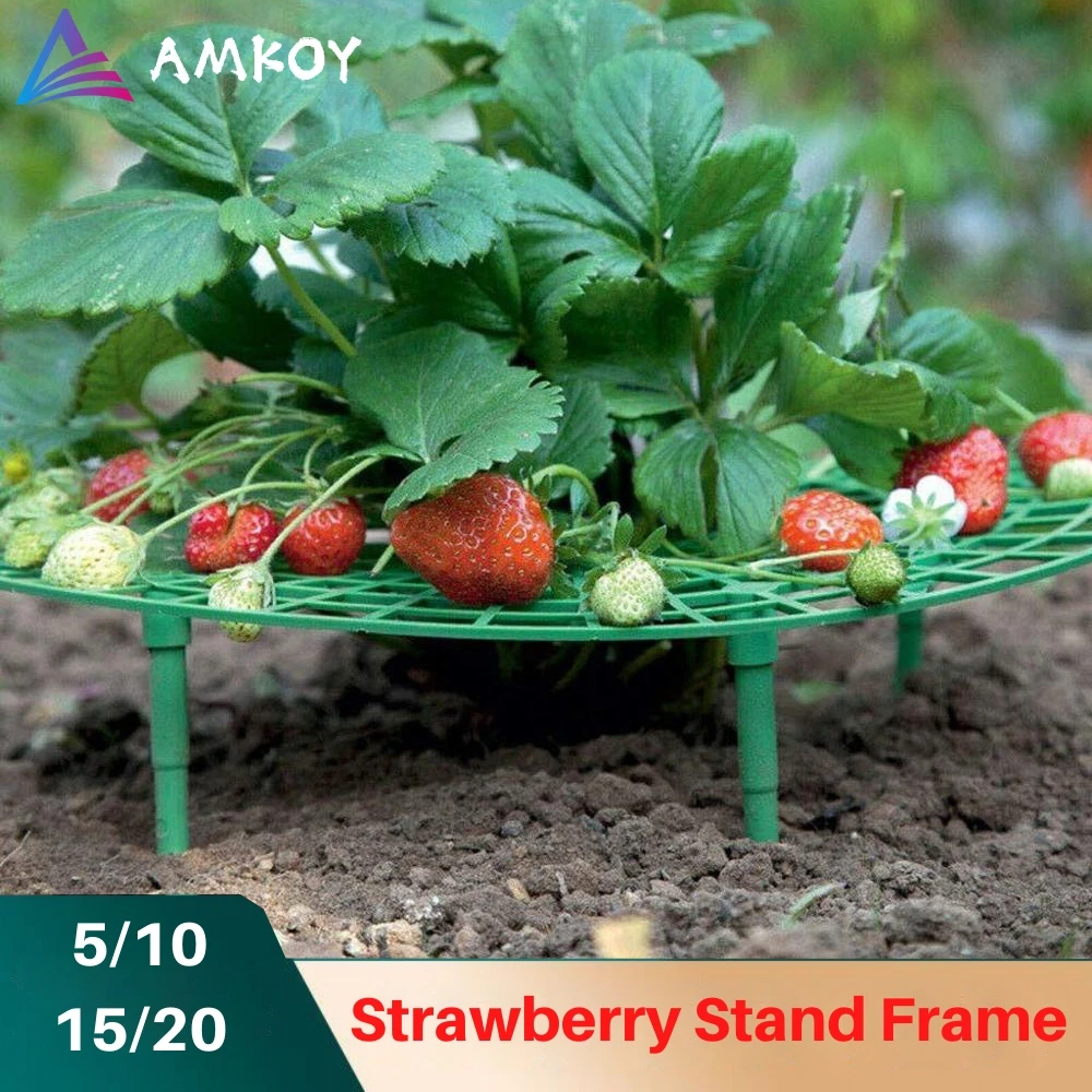Strawberry Stand Planting Rack Fruit Support Plant New Stand Gardening Stand