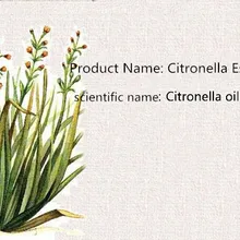 Citronella oil 50ml. Natural mosquito repellent citronella oil aromatherapy refreshing. Mosquito repellent. Remove odor