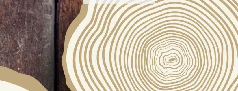 QQ截图20200907130412