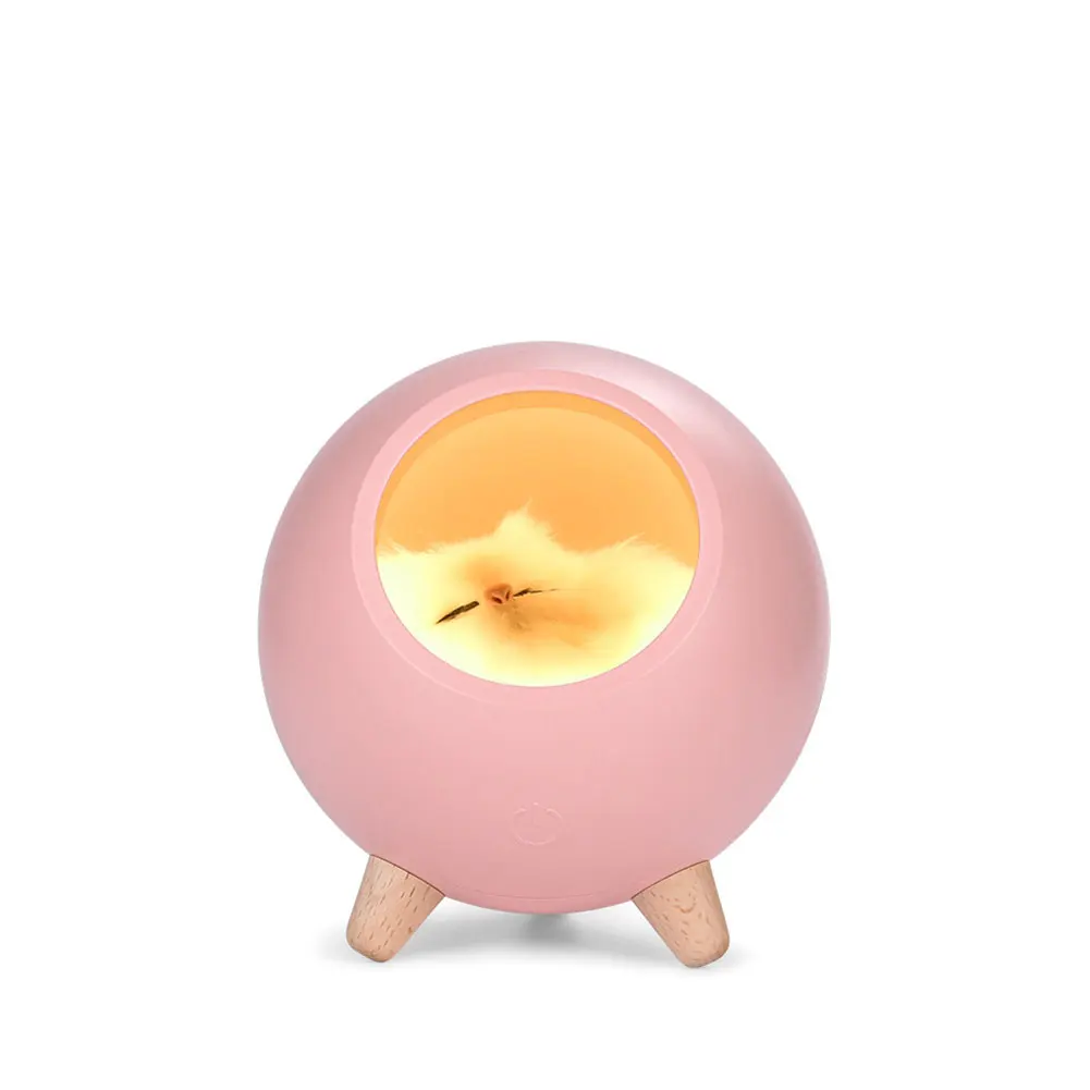 

Bedroom Home Decor Gifts Cute Cartoon Cat USB Charging Sleeping Led ABS Children Night Light Table Mini Bedside