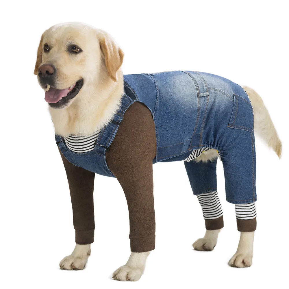 jeans, calças lavadas para cães, jaqueta clássica,