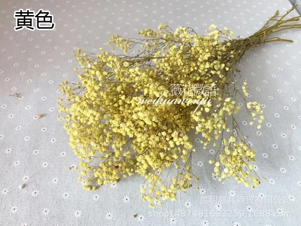 yellow 65g Консервированный свежий babysbreak 65 г/35 см, DIY Eternelle цветочный, свадебный подарок домашний декор. Подарок на день Святого Валентина консервированные сухоцветы - Цвет: yellow 65g