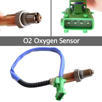 

For Citroen Berlingo C2 C3 C4 Peugeot Partner O2 Lambda Probe Oxygen Sensor 0258006028 1618Z7 1628CW 1628HR 96359782 96229997