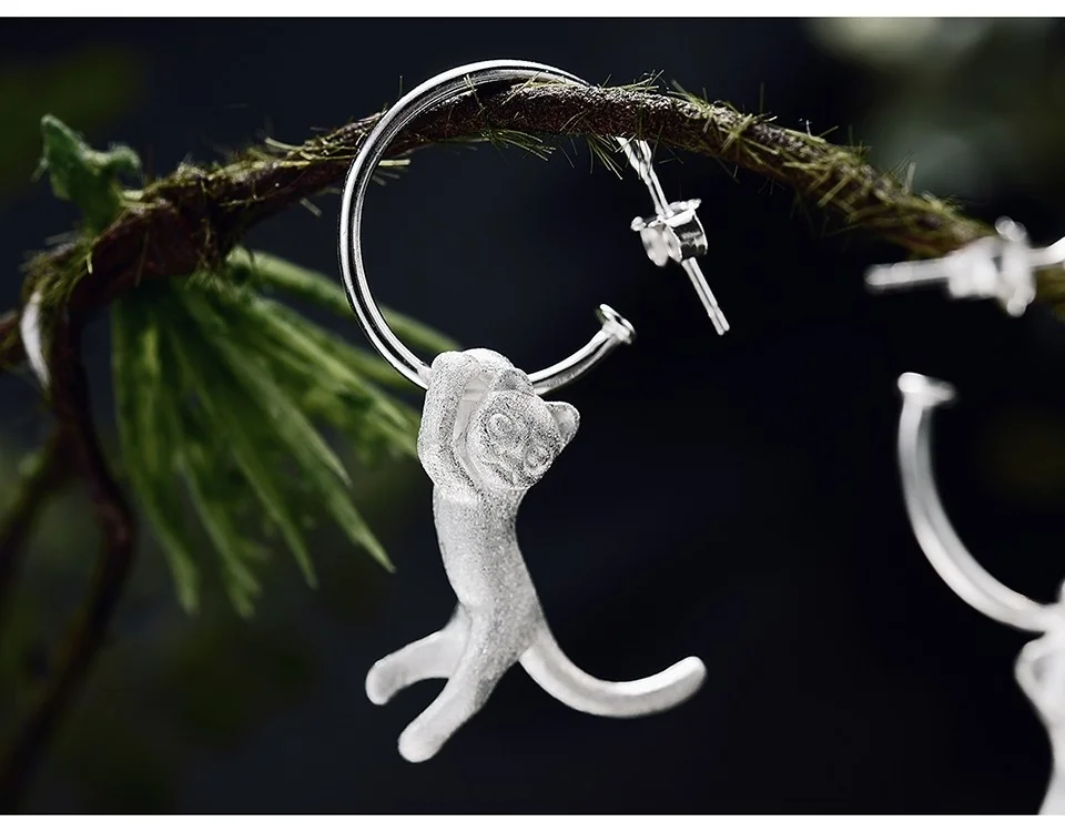 LFJB0072-Cute-Kung-Fu-Cat_11