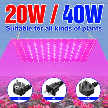 

BiaRiTi Plants Light LED Phyto Grow Lights EU US UK Plug Flower Hydroponics Growing Tent 40W 20W Seedling Fito Lamp LED Lampada