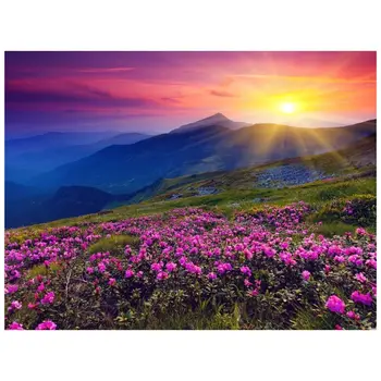 

Mountain Flowers Digital Oil Painting By Numbers Canvas Wall Picture DIY Decor