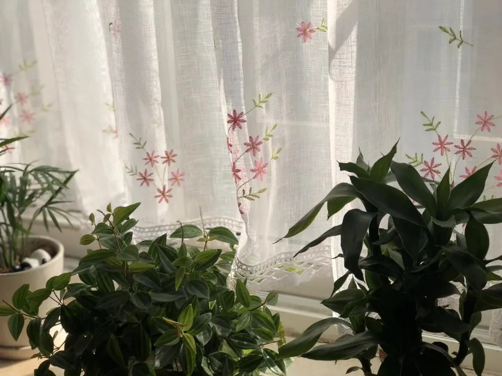 微信图片_20191203165942