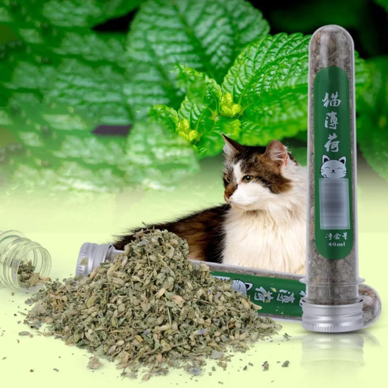 

40ml Natural Healthy Treats Catnip Fresh Organic Dried Catnip Improve Pet Cat Appetite DIY Kittens Scratching Toys
