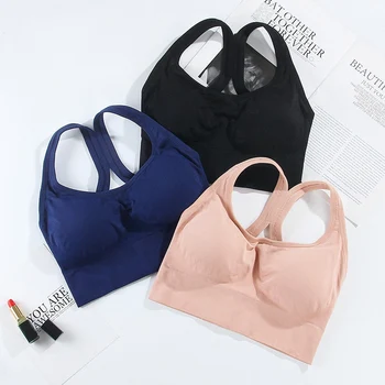 

Female Padded Fittness Bras Sexy Lingerie Beauty Back Tube Tops Women Soft Bras Underwear