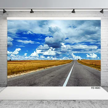 

Highway Grassland Cloud Photographic Background Computer Printed Backdrop Photo Studio for Children Portrait Scenery Photoshoot