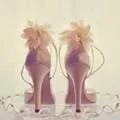 Shop3559032 Store