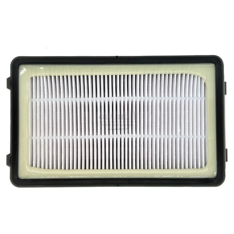Ensemble de 2 filtres HEPA pour Rowenta RO3731EA Tefal Compact Power et modèles cycloniques-Pré