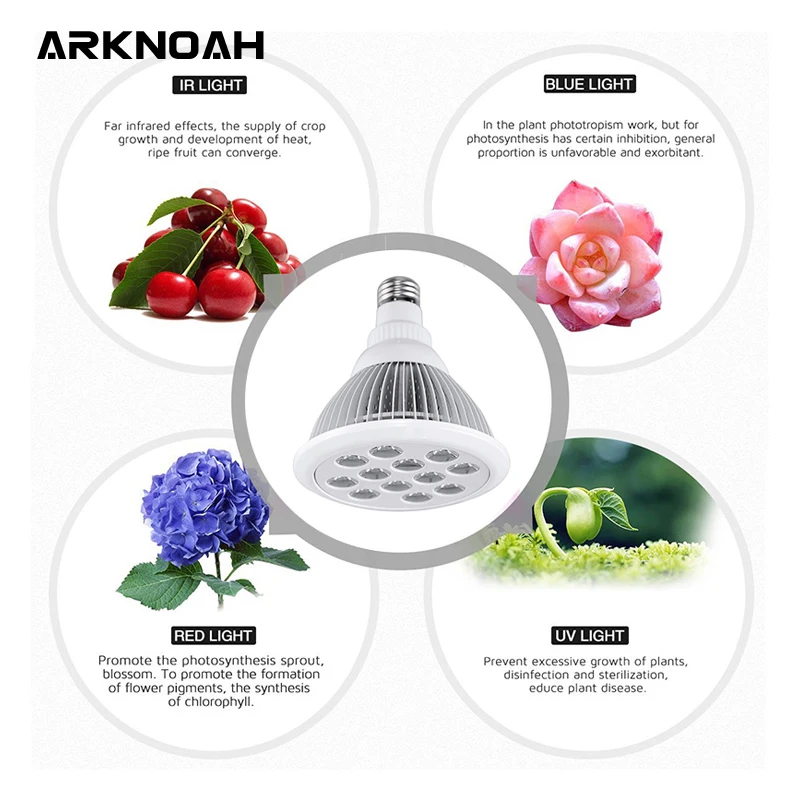 ARKNOAH Full Spectrum Plant Grow Led Light Bulbs Lamp Lighting 36W AC110/220V for Seeds Hydro Flower Greenhouse Veg