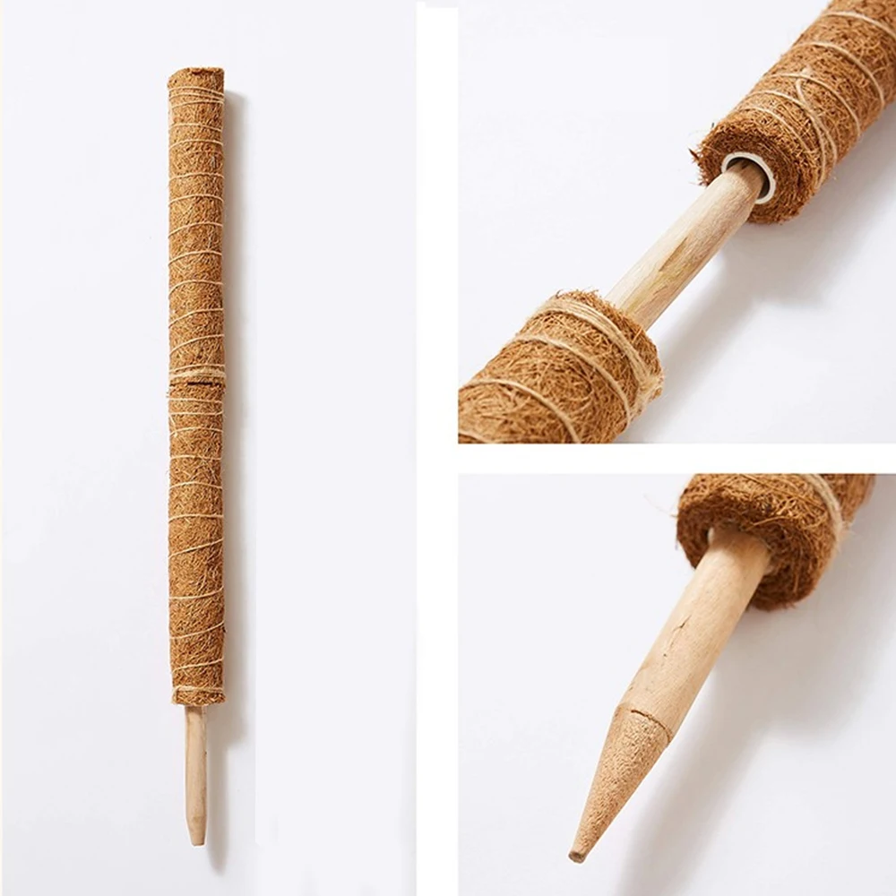 Plant Climbing Coir Pole Extendable Plant Support Climbing Indoor Potted Plants Monstera Creepers 30/40/50cm
