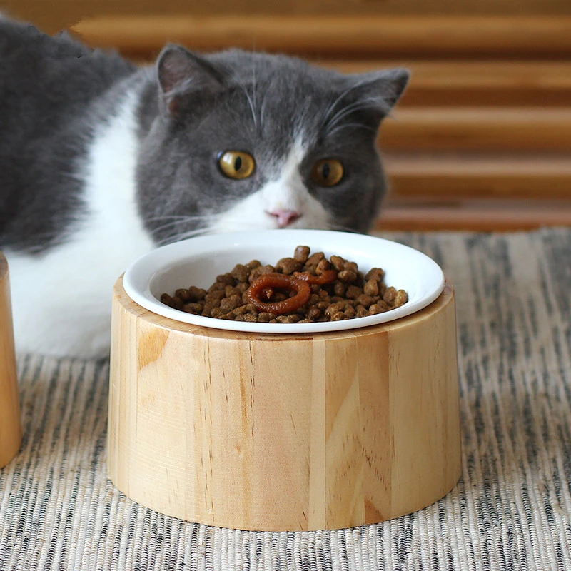 ceramic cat feeder