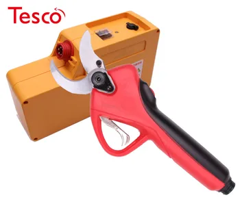 Buy Lithium Battery Scissors, Fast Charging 2 Hours Working Time 8 Hours, Grape Vines Electric Pruning Scissors