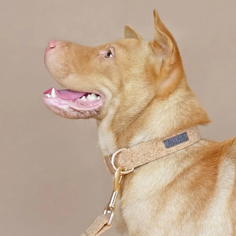 

ALLIVA retailing handmake high quality adjustable dog collars and leashes The wood CBA012