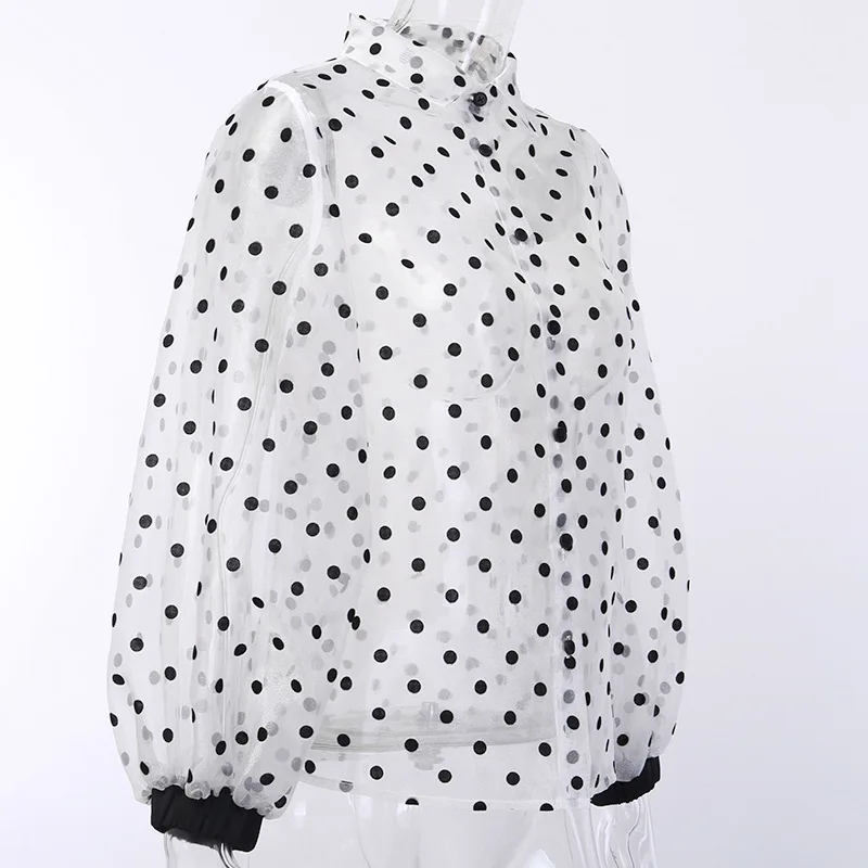 11444079228_2146010042