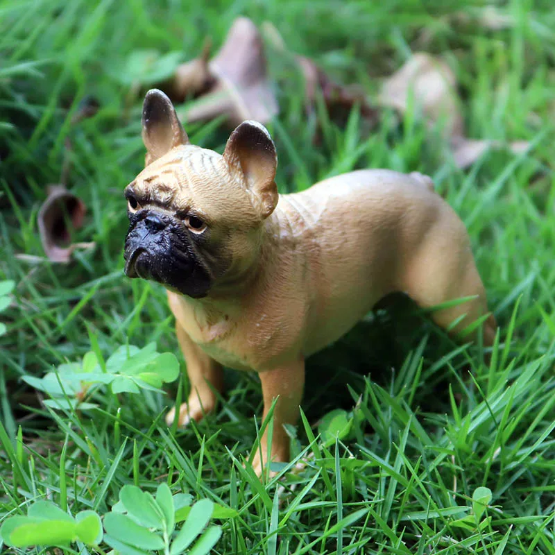 PL127-621黄色斗牛犬