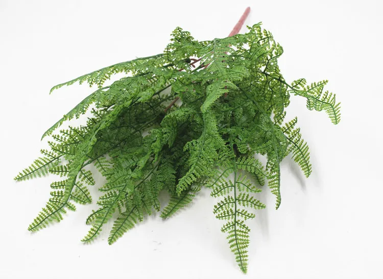 19叶软胶波斯叶