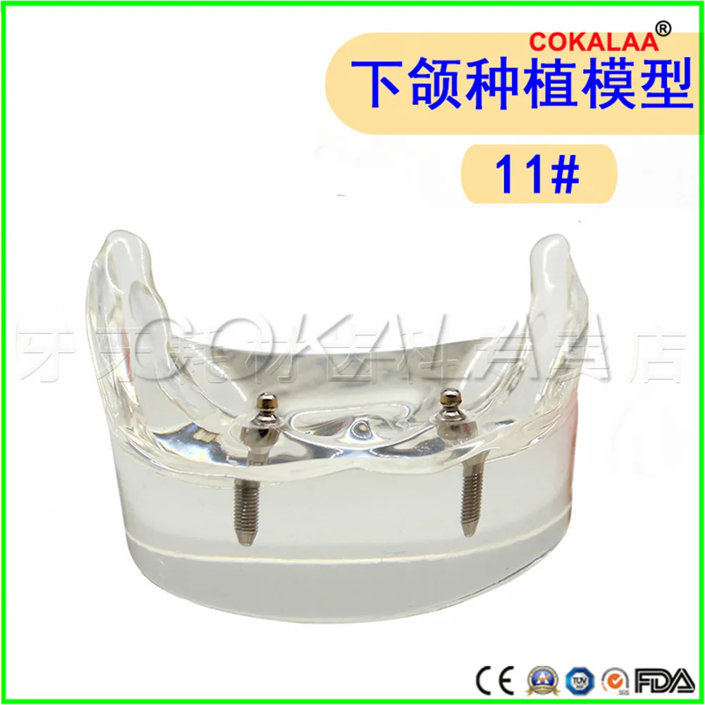 O1CN011kTW6z22Y2r79Npax_!!2971327131