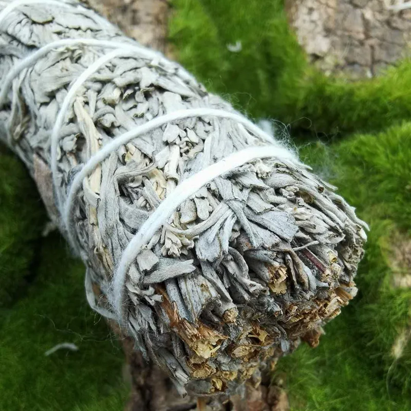 H34d282aad19f41ddad1f746ed83352c2Y.jpg?width=800&height=800&hash=1600