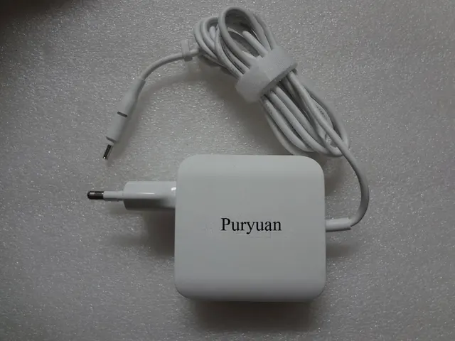 Samsung 노트북을 위한 필수품: 새로운 OEM 19V 3.42A W16-065N4D AC 어댑터 Samsung 노트북을 위한 필수품: 새로운 OEM 19V 3.42A W16-065N4D AC 어댑터