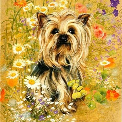 

Diamond Painting Yorkshire Dog 5d Diy Mosaic Full Square Round Drill Diamant Of Rhinestone Daimond Embroidery Pictures Sale