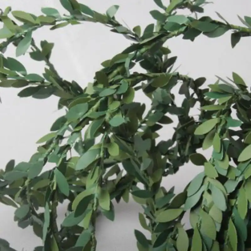 アイビー爬虫類つる偽ぶら下げ つる植物の装飾 2 メートルビバリウム現実的なジャングル 水槽用ハビタットデカール Aliexpress アイビー爬虫類つる偽ぶら下げ つる植物の装飾 2 メートルビバリウム現実的なジャングル 水槽用ハビタットデカール Aliexpress