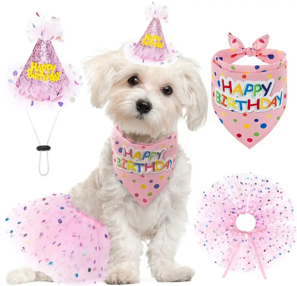 How To Make A Dog Birthday Hat