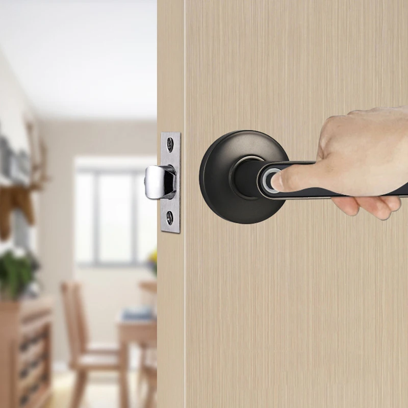 Fingerprint Smart Door Lock 3