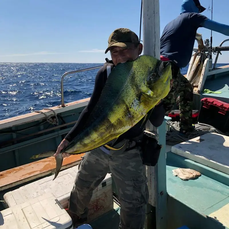 U98adfa947ff24aab8040daaed2a39f74z