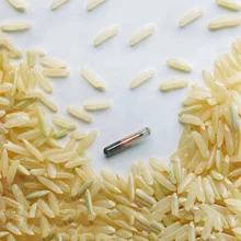 10 шт./лот стеклянная бирка 2,12x12 мм/1,4X8 мм/1,25x7 мм для маленьких животных SO11784/785 FDX-B черепаха