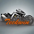 Teckwin Store