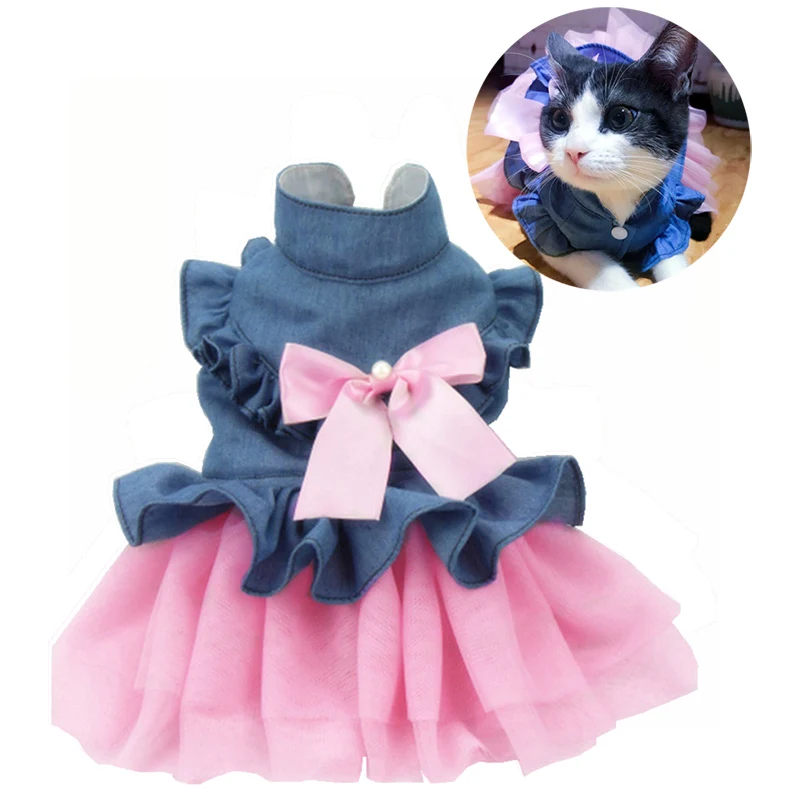 girl dog clothes
