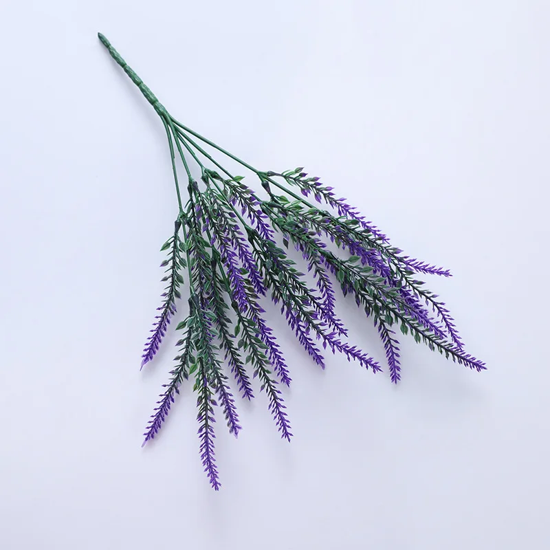 15921466263_1343200501