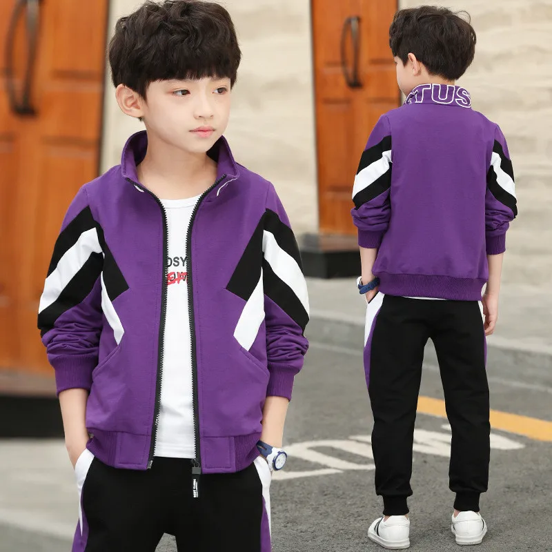 Модный комплект спортивной одежды для мальчиков, Классический комплект из 3 предметов: толстовка+ штаны, рубашка для мальчиков 4-14 лет, Детская классная верхняя одежда, спортивный комплект - Цвет: purple