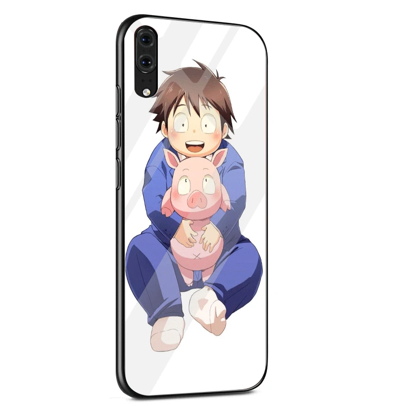 G5 Чехол для телефона стекло для huawei P30 P20 P10 Honor 10 8X Y6 Y9 mate 20 Lite Pro P Smart Cover Silver Crow Accel World Arita Haruyuki - Цвет: G5